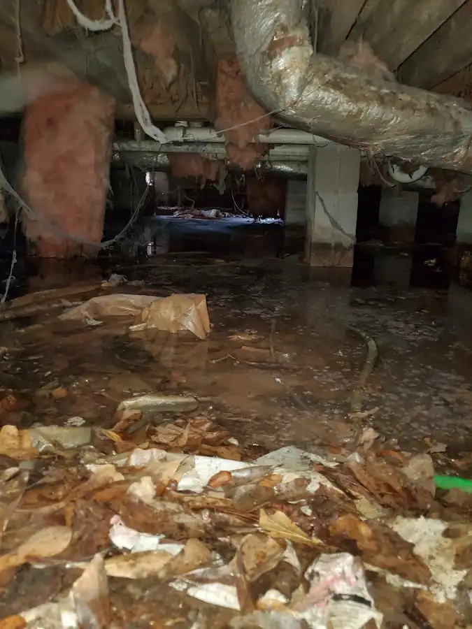 Crawl space flood assessment for Leak Detection & Repair in Boerne