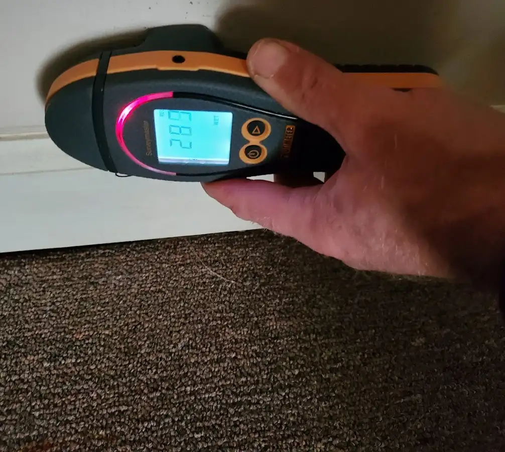 Moisture detection at baseboard during Sewage Cleanup & Sanitation in Boerne